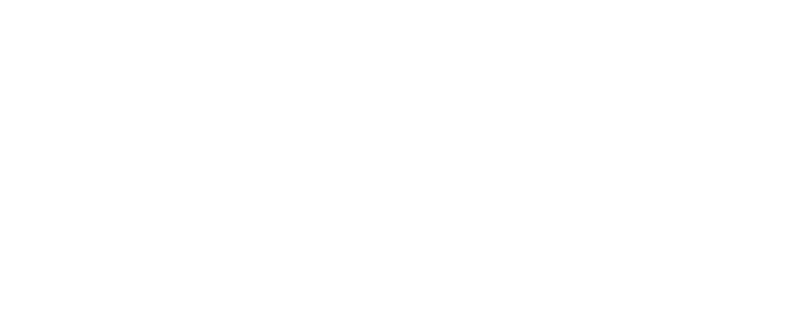 DMI AUDIO